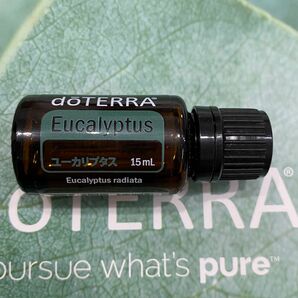 ドテラ doTERRA ユーカリプタス 15ml エッセンシャルオイル