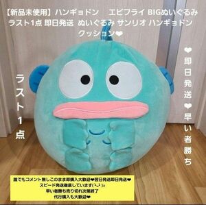 最安値【新品未使用】ハンギョドン BIGぬいぐるみ サンリオ ラスト1点 即日発送★ ハンギョドン クッション即購入大歓迎