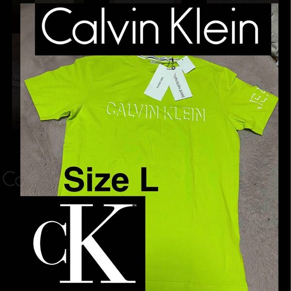 Calvin Klein Tシャツ L