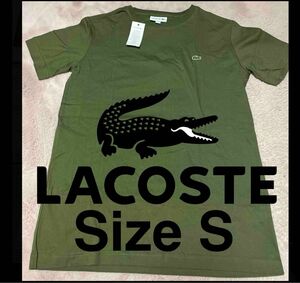 Lacoste Tシャツ S グリーン