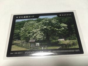 ナンジャモンジャの木 文化遺産カード NO.AA0005 ver.1.00 2011 愛知県犬山市