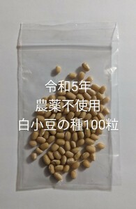 農薬不使用白小豆の種100粒　あずき