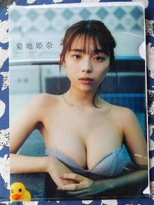  Kikuchi ........ appendix clear file B5 unused 5