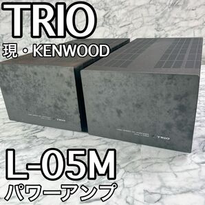 希少 TRIO トリオ Kenwood ケンウッド モノラルパワーアンプ L-05M