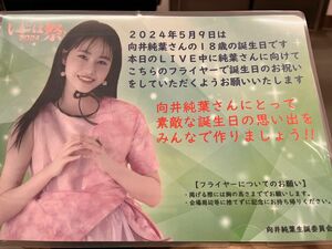 櫻坂　向井純葉　生誕フライヤー