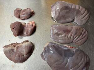 ! venison lever hearts freezing 5.7kg (5700g)