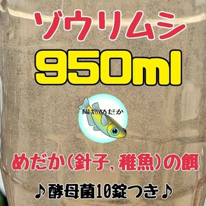 ゾウリムシ種水950ml 送料無料 金魚やグッピー、メダカの針子や稚魚のえさ【陽悠めだか】