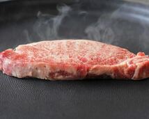大容量500g 牛肉サーロインステーキ　成型肉　国産牛脂　◯_画像3