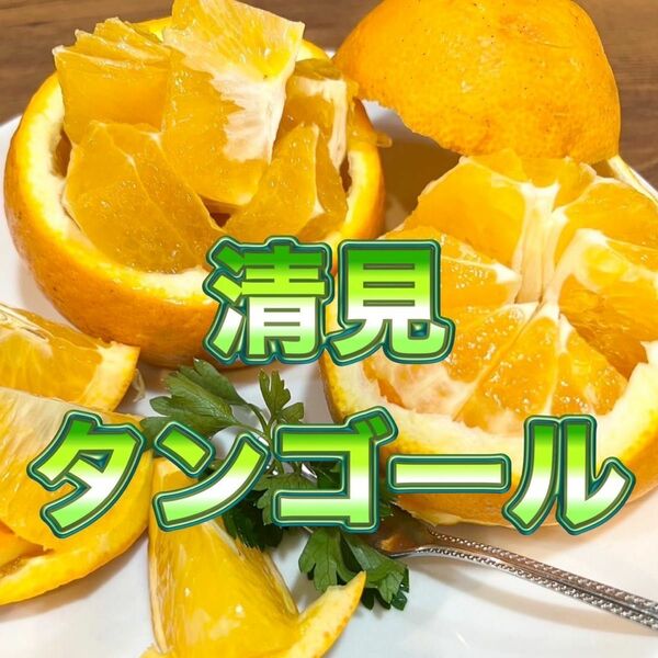 清見オレンジ　【低農薬】　木なり完熟　約5キロ　別格で甘い