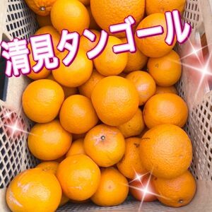 清見オレンジ　【低農薬】　木なり完熟　約2キロ　別格で甘い