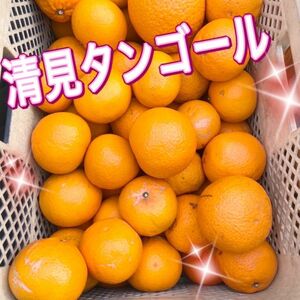 清見オレンジ　【低農薬】　木なり完熟　綺麗目　約5キロ　別格で甘い　