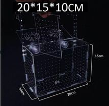 水槽　水族　繁殖箱　隔離ボックス　隔離ケース　産卵箱　20*15*10cm_画像1