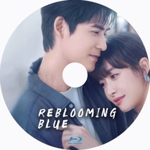 『Reblooming Blue（自動翻訳）』『コ』『中国ドラマ』『ト』『Blu-ray』『IN』★6／I5で配送_画像2