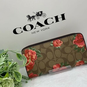 コーチ COACH 長財布 財布 シグネチャー アコーディオン 母の日 贈り物 ギフト 花柄 ファッション レディース 新品未使用 F39189 A184Zの画像4