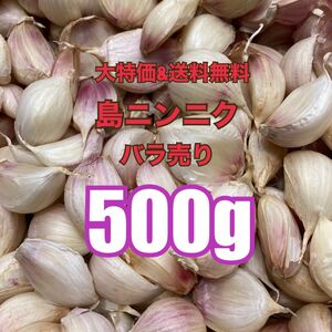 【美味！大容量！大好評！健康美容野菜！今が旬！】沖縄　伊江島産　ニンニク　500g