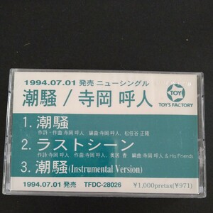 レアカセ！サンプル盤　非売品　★寺田呼人/潮騒★シングル　カセットテープ　 当時物！