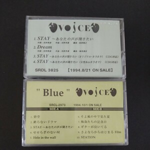 レアカセ！サンプル盤　非売品　★VOICE/ヴォイス★アルバム、シングル　カセットテープ　2本 当時物！