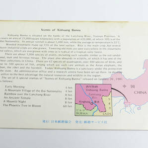 ☆未使用☆中国切手 1981年 T55 シーサンパンナの風景 中国人民郵政 保管品の画像5