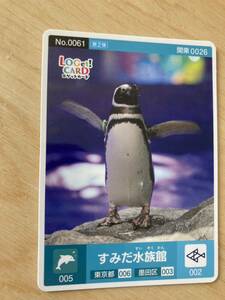 東京　すみだ水族館　ペンギンロゲットカード 