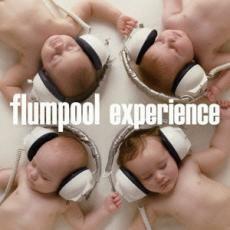 ｆｌｕｍｐｏｏｌ／ｅｘｐｅｒｉｅｎｃｅ