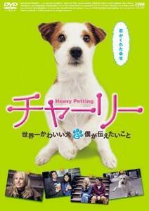 チャーリー 世界一かわいい犬と僕が伝えたいこと【字幕】 レンタル落ち 中古 DVD