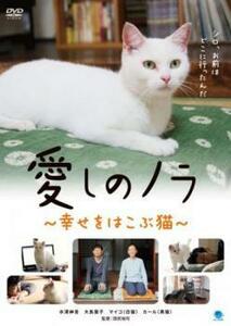 愛しのノラ 幸せをはこぶ猫 レンタル落ち 中古 DVD