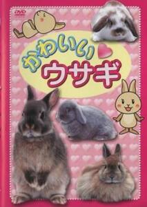 かわいい ウサギ レンタル落ち 中古 DVD