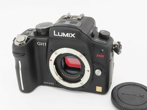 LUMIX GH1 DMC-GH1 ボディ （コンフォートブラック）