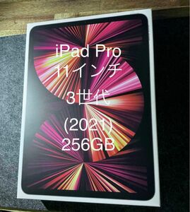 【超美品/アクセサリ新品未使用】iPad Pro 11インチ 第3世代 Wi-Fi 256GB スペースグレイ おまけ付き