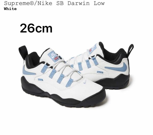 supreme nike sb Darwin low 26 シュプリーム