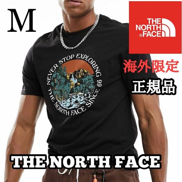 THE NORTH FACE ザ ノースフェイス メンズ 半袖 Tシャツ 海外限定 正規品 完売品 ブラック キャンプ アウトドア 黒 コットン S M