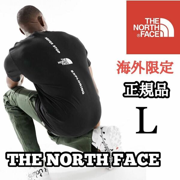 THE NORTH FACE ザ ノースフェイス VERTICAL NSE メンズ 半袖 Tシャツ バッグデザイン 海外限定 正規品 完売品 ブラック 黒 M L コットン