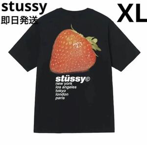 stussy ステューシー メンズ レディース Tシャツ 半袖 いちご 黒 XL WHITE STUSSY STRAWBERRY TEE