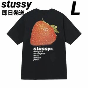 stussy ステューシー メンズ レディース Tシャツ 半袖 いちご 黒 ブラック L WHITE STUSSY STRAWBERRY