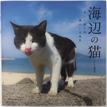 海辺の猫（美しい海と空　猫のいる風景）_画像1