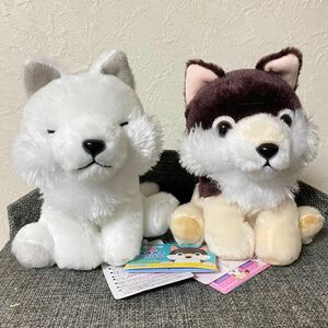 もふっとオオカミごきげん　ほっきょくん ウルフィー 新品タグ付き 約15cm