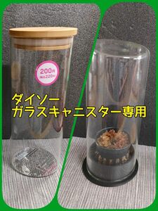 【植物／水草】ダイソー　ガラスキャニスター専用