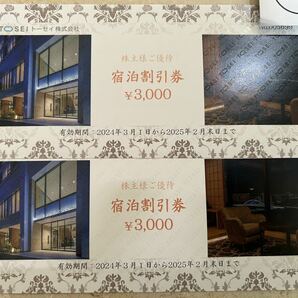 トーセイ 株主優待 宿泊割引券3000円2枚 ネコポス 配達料無料の画像1