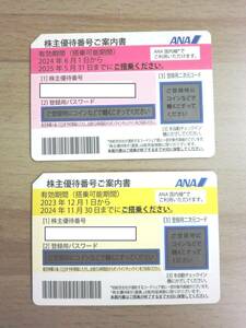 ANA株主優待券2枚 有効期限（搭乗可能期間）2023/12/1～2024/11/30、2024/6/1～2025/5/31 番号通知可