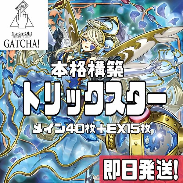 即日発送！トリックスター　デッキ　遊戯王　アクアエンジェル　ブラッディマリー