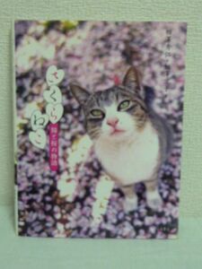 さくらねこ 猫と桜の物語●相澤秀仁,相澤京子★ネコ写真集◆