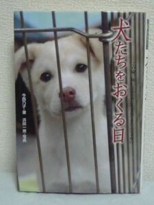 犬たちをおくる日★今西乃子,浜田一男 動物ノンフィクション▼