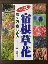 【かんたん宿根草花 育て方・楽しみ方 / 著者 柳 宗民(監修)】_画像1