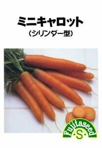 ＜野菜の種＞約１９００粒　ミニキャロット シリンダー型　５ｍｌ　一口人参　ミニにんじん　４種郵便にて発送