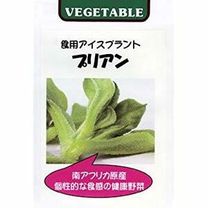 ＜野菜の種＞アイスプラント　種 　プリアン　0.1ｍｌ　健康野菜　４種郵便にて発送