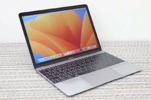 N1円♪【2017年！i5】Apple / MacBook A1534(Retina.12-inch,2017) / CPU：core i5-1.3GHz / メモリ：8G / SSD：256GB