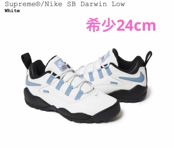 Supreme/Nike SB Darwin Low White 24cm