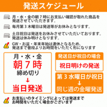 ガン玉 セット 5サイズ 0.2g 0.5g 1g 1.5g 2g ケース オモリ シンカー フカセ釣り ウキ 浮き 磯 釣り バス スプリッド リグ 重り 割りビシ_画像5