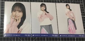 向井葉月　2024年4 ラガーシャツ　乃木坂46 生写真 3種コンプ （検）チャンスは平等