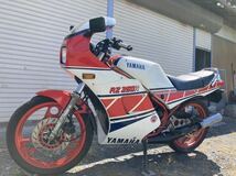 RZ250RR 51L 実動　書類あり_画像5